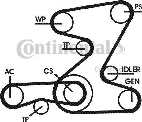 Set curea transmisie cu caneluri 16