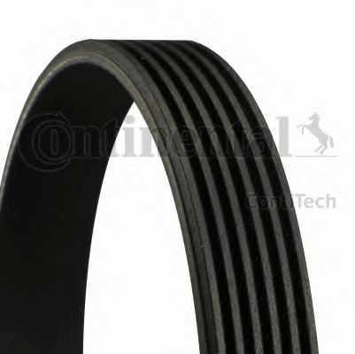 6PK1605 Curea transmisie cu caneluri CONTITECH 