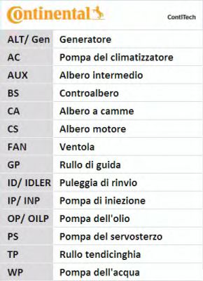 Set curea transmisie cu caneluri 10