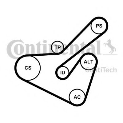 Set curea transmisie cu caneluri
