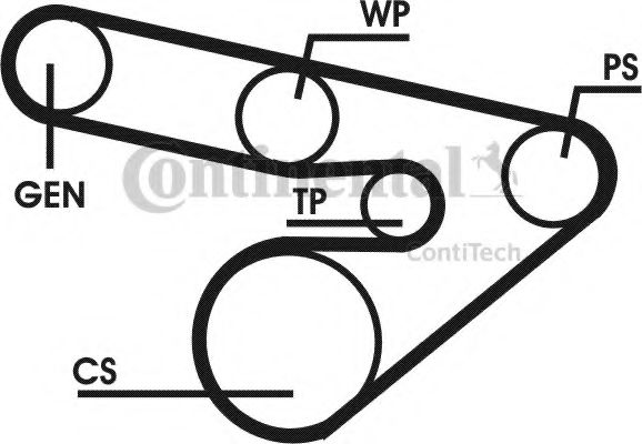 Set curea transmisie cu caneluri 16