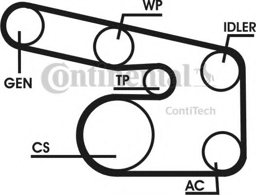 Set curea transmisie cu caneluri 16