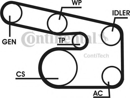 Set curea transmisie cu caneluri 16