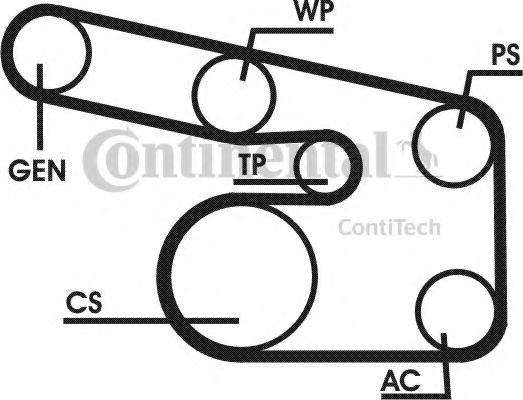 Set curea transmisie cu caneluri 16
