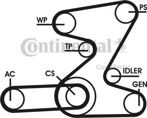 Set curea transmisie cu caneluri 15
