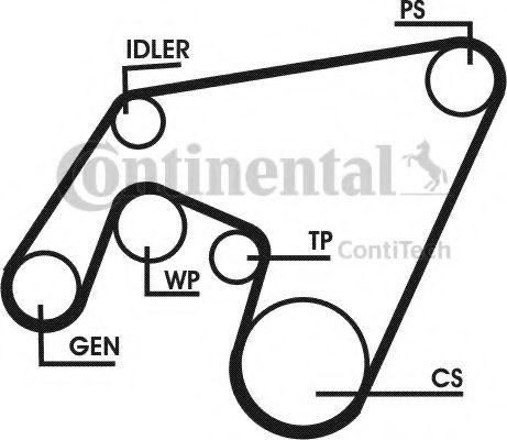 Set curea transmisie cu caneluri 16