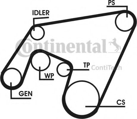 Set curea transmisie cu caneluri 16