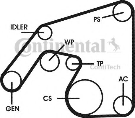 Set curea transmisie cu caneluri 16