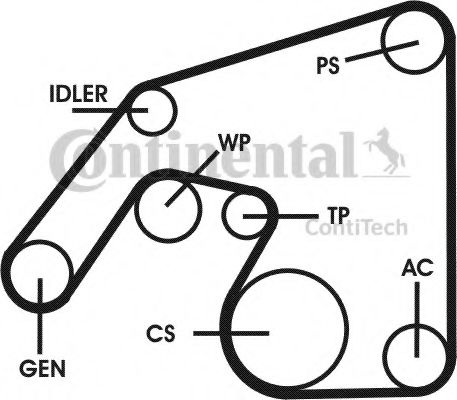 Set curea transmisie cu caneluri 16