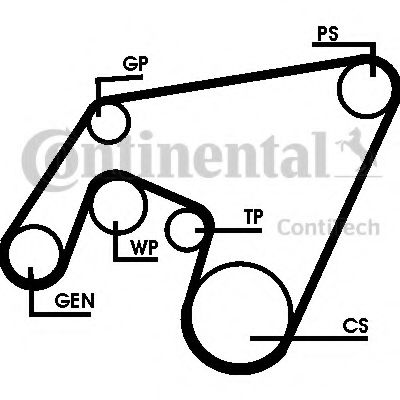 Set curea transmisie cu caneluri 2