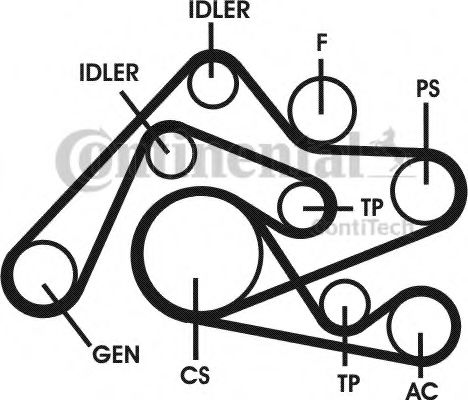 Set curea transmisie cu caneluri 16