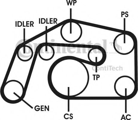 Set curea transmisie cu caneluri 16