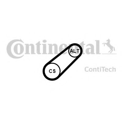 Set curea transmisie cu caneluri 16