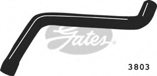 3803 Furtun radiator GATES 