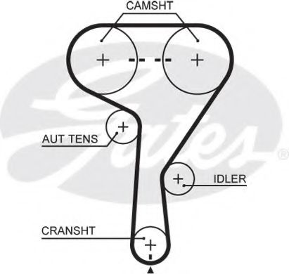 Curea de distributie