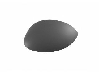 4028843 Acoperire oglinda exterioara VAN WEZEL 