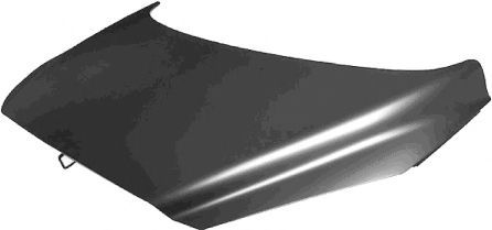 4042670 Capota motor VAN WEZEL 