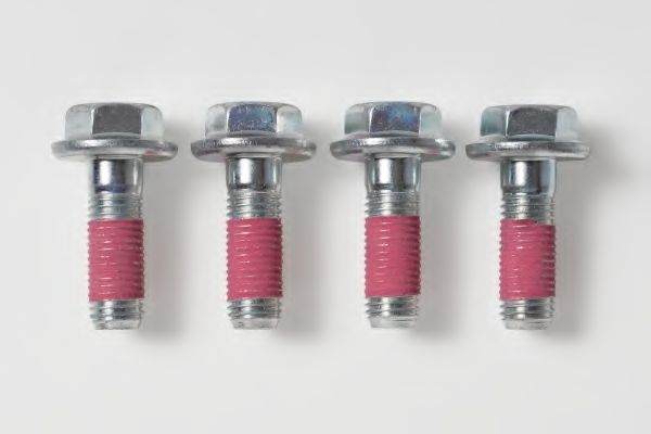 set placute frana,frana disc 2