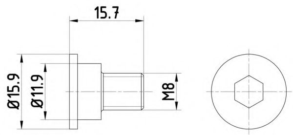 TPM0003 Surub, disc frana TEXTAR 