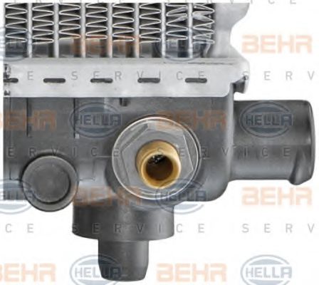 Radiator, racire motor 10