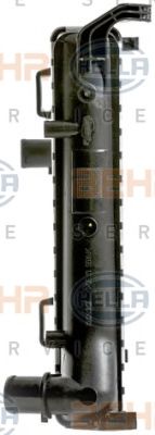 Radiator, racire motor 3