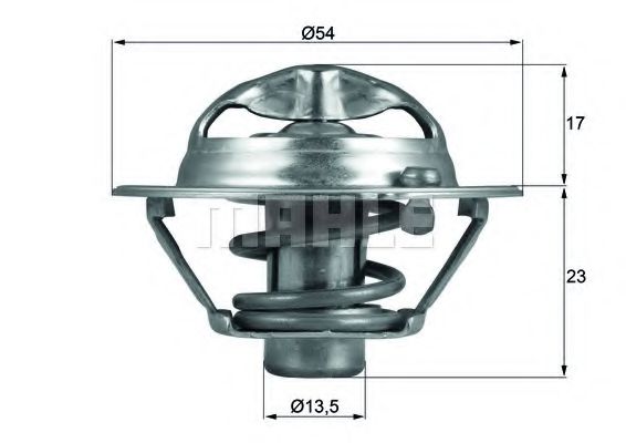 TX 118 82D termostat,lichid racire BEHR 