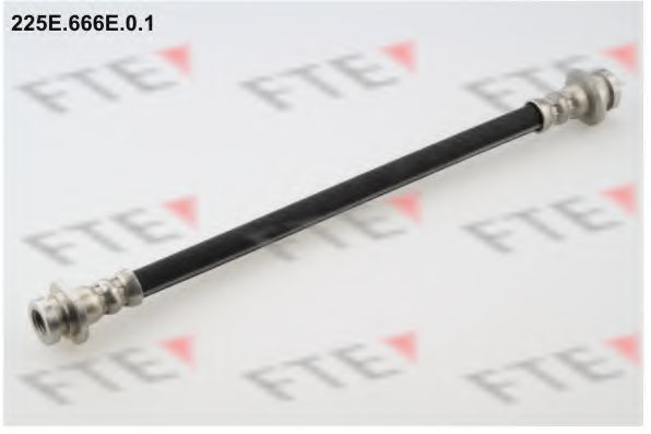 225E.666E.0.1 Furtun frana FTE 