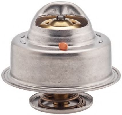 termostat,lichid racire