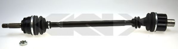 304283 Planetara LÖBRO 