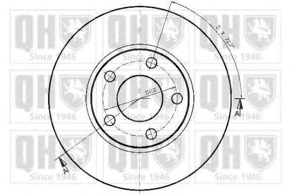 Disc frana 2