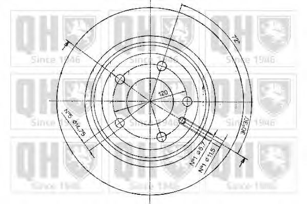 Disc frana 2