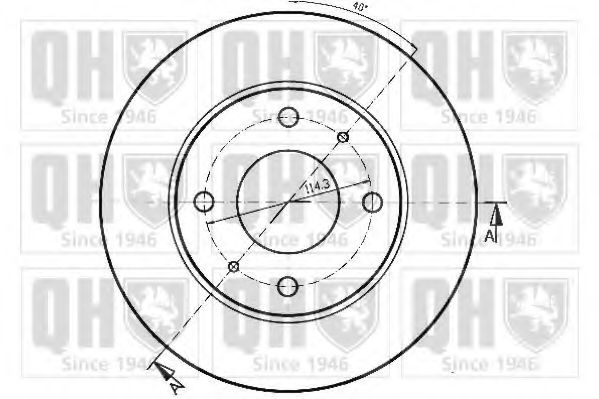 Disc frana 2