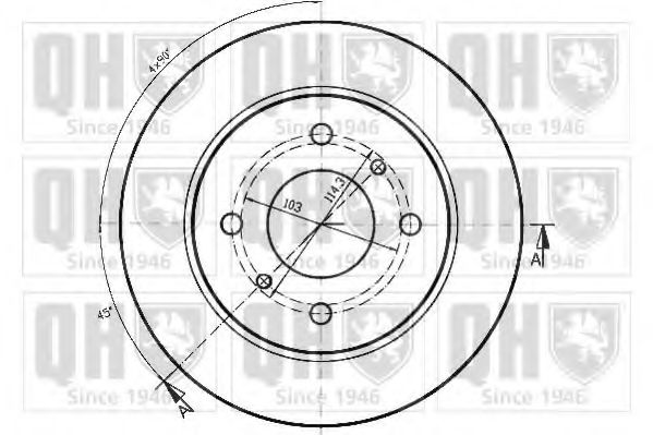 Disc frana 2