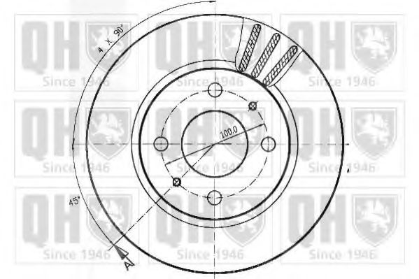 Disc frana 2