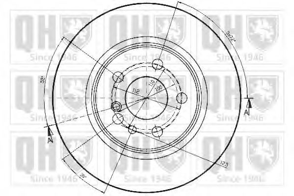 Disc frana 2