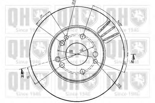 Disc frana 2