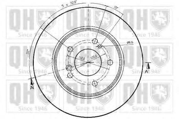 Disc frana 2