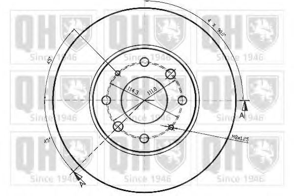 Disc frana 2