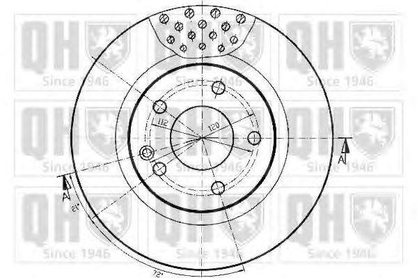 Disc frana 2