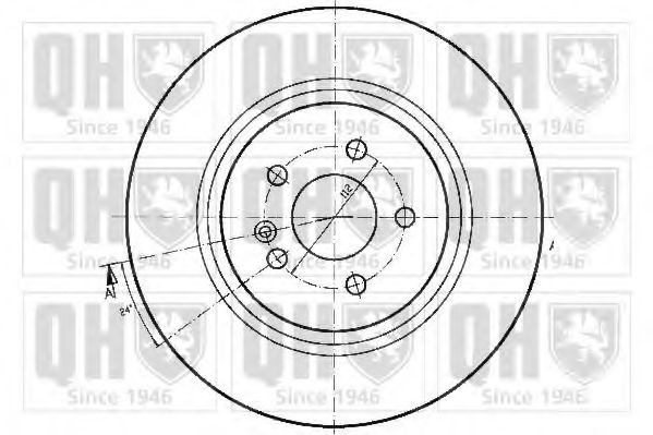 Disc frana 2