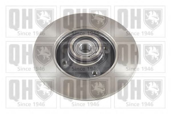 Disc frana 3