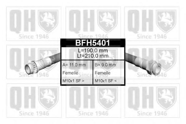 BFH5401 Furtun frana QUINTON HAZELL 