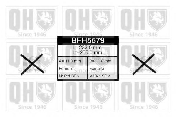 BFH5579 Furtun frana QUINTON HAZELL 