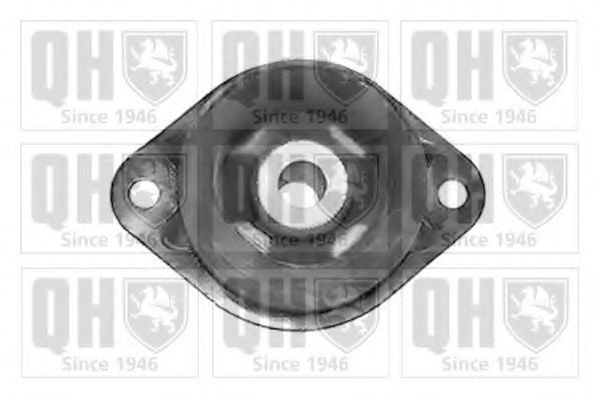 EM4071 Suport, transmisie automata QUINTON HAZELL 