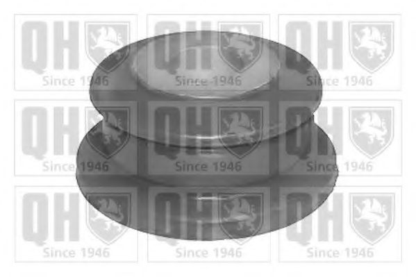 EM4106 suport, cadru auxiliar/suport agregate QUINTON HAZELL 
