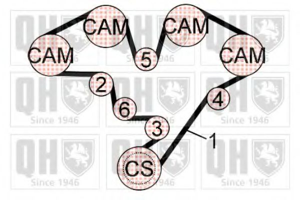 Set curea de distributie
