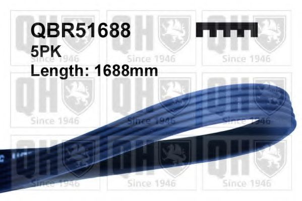 QBR51688 Curea transmisie cu caneluri QUINTON HAZELL 