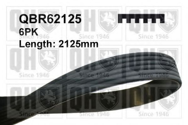 QBR62125 Curea transmisie cu caneluri QUINTON HAZELL 