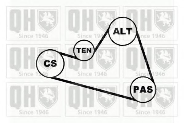 QDK41 Set curea transmisie cu caneluri QUINTON HAZELL 