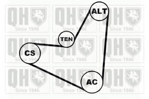 Set curea transmisie cu caneluri 2